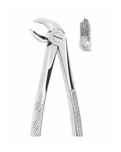 Lower Molars