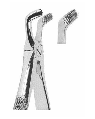 Lower Third Molars