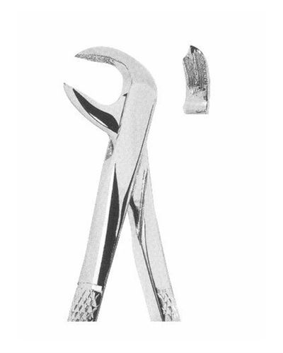 Lower Molars 