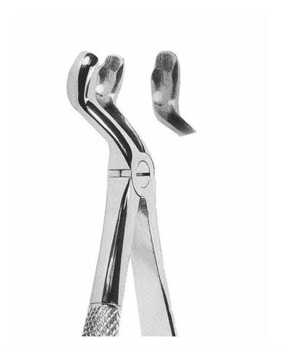 Upper Third Molars