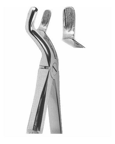 Upper Third Molars