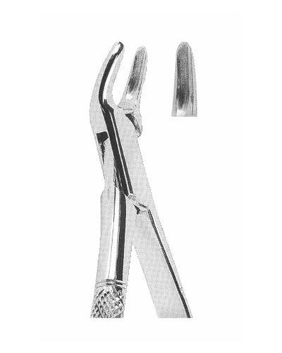 Upper Teeth 