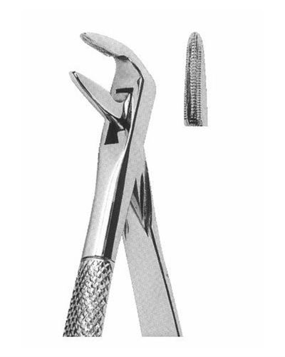 Lower Incisors