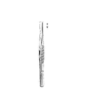 Tissue Forceps  1:2
