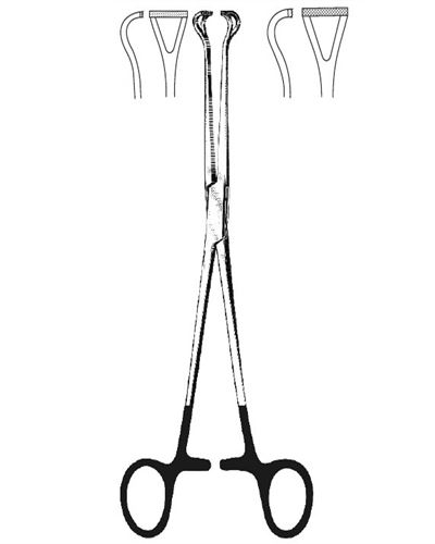 Babcock
