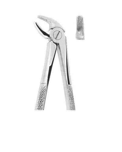 Lower Incisors And Canines 