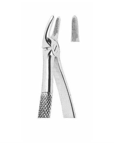 Upper Incisors And Roots