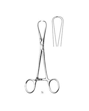 Staude-Moore (Bernhard)