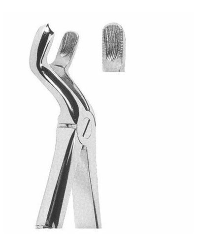 Upper Third Molars Right 
